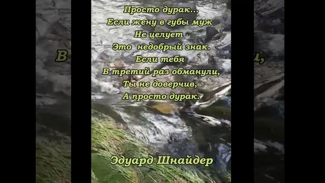 "Просто дурак..."Эдуард Шнайдер.Читает: автор.(стихи /мысли/ - Книга "Сны")#shorts