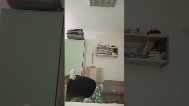 5 занятие