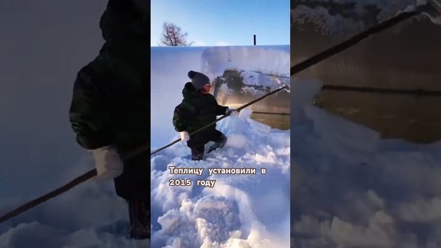 Теплицу установили в 2015 году, шаг 2 метра #уральскаяуса