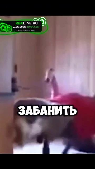 😩 НЕ ПИШИ ЭТИ СЛОВА, ТЕБЯ МОГУТ ЗАБАНИТЬ #анимация #roblo