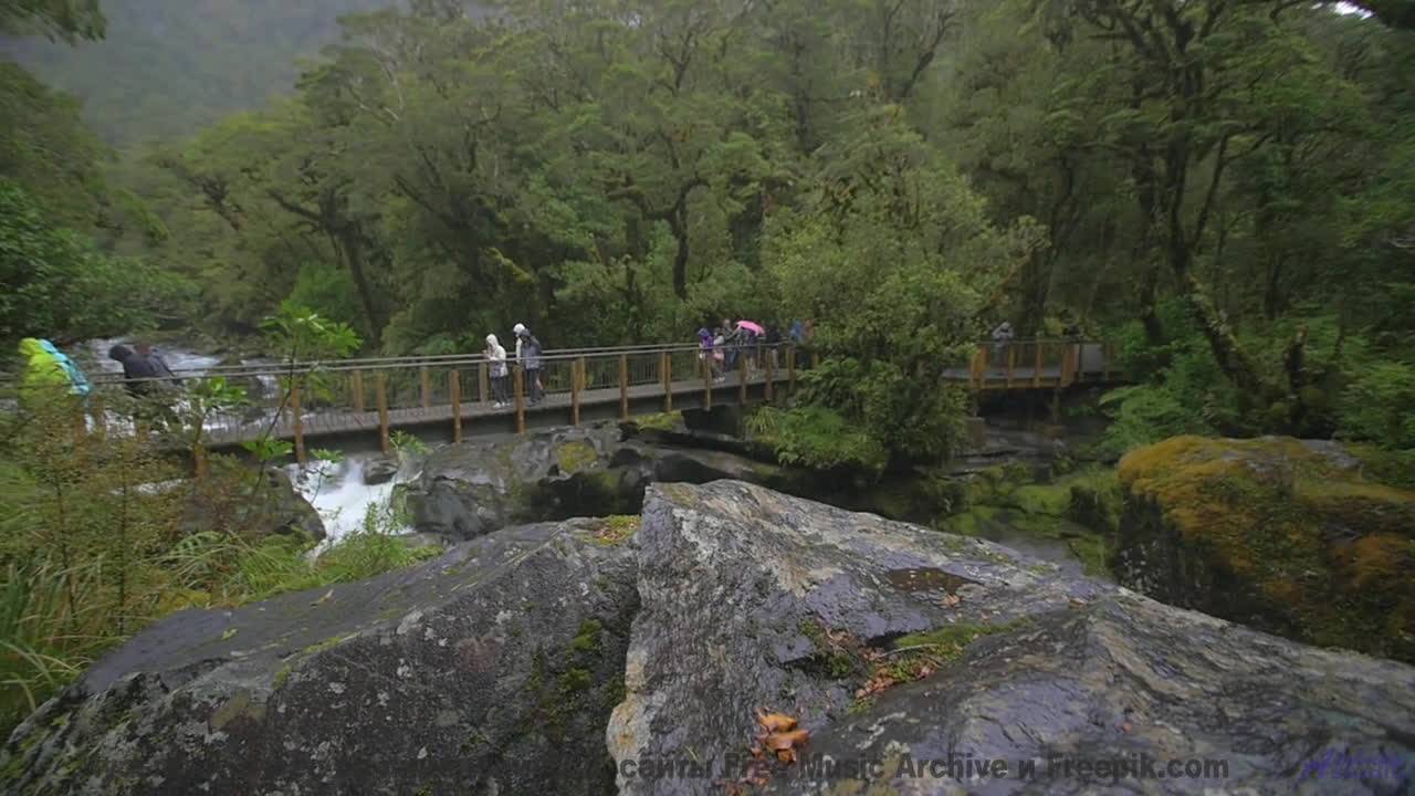 Музыка, от которой ДРОЖАТ все вокруг! - Oh My Kid -- Hope and Social -- Yorkshire Electric EP