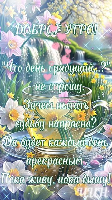 С добрым утром, мои дорогие!