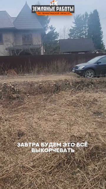🔨 Первый шаг перед строительством — расчистка участка!