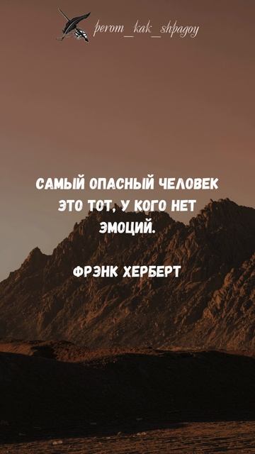 Мудрость в Кадре