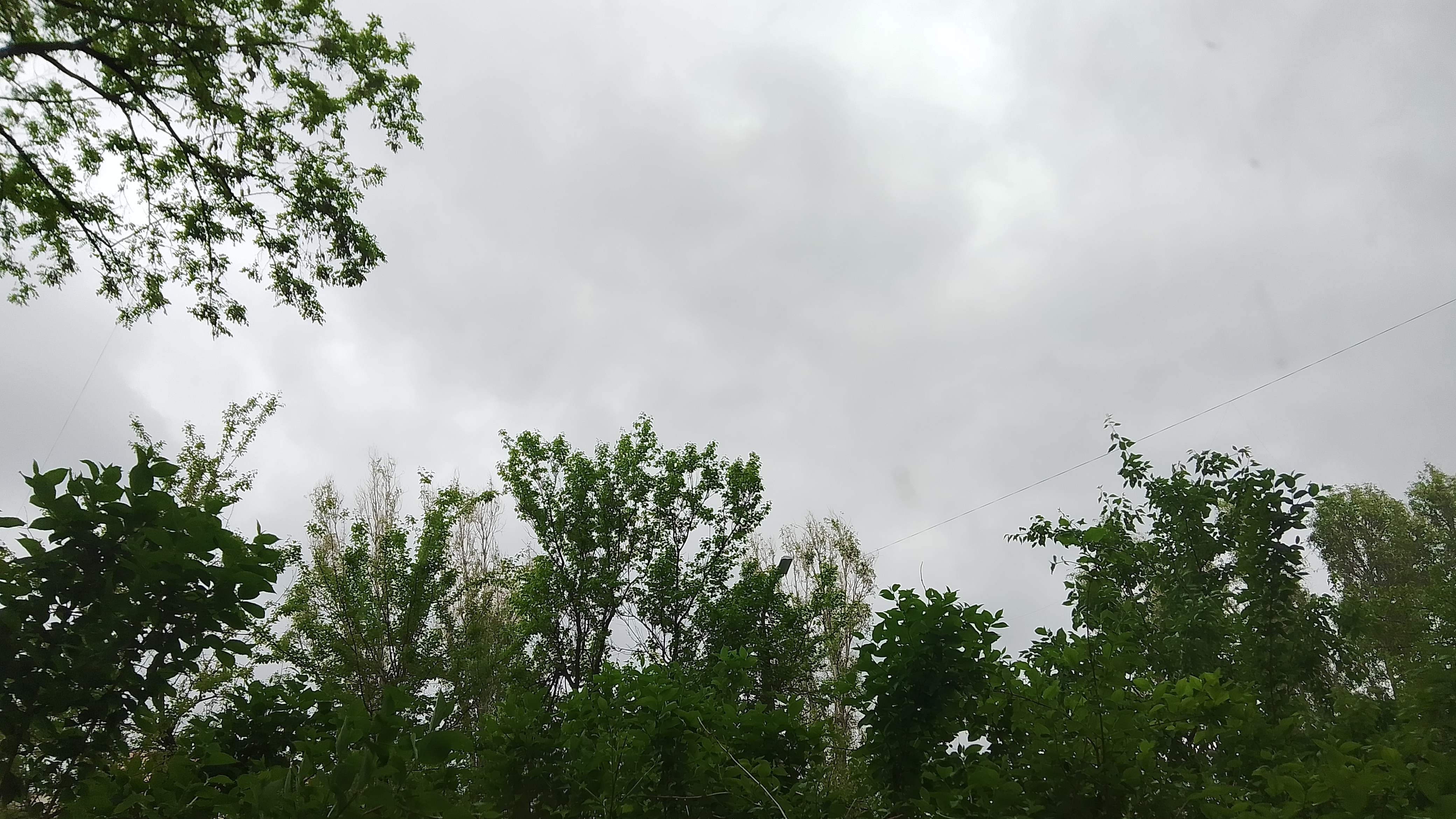 Погода в Луганске 08.04.25