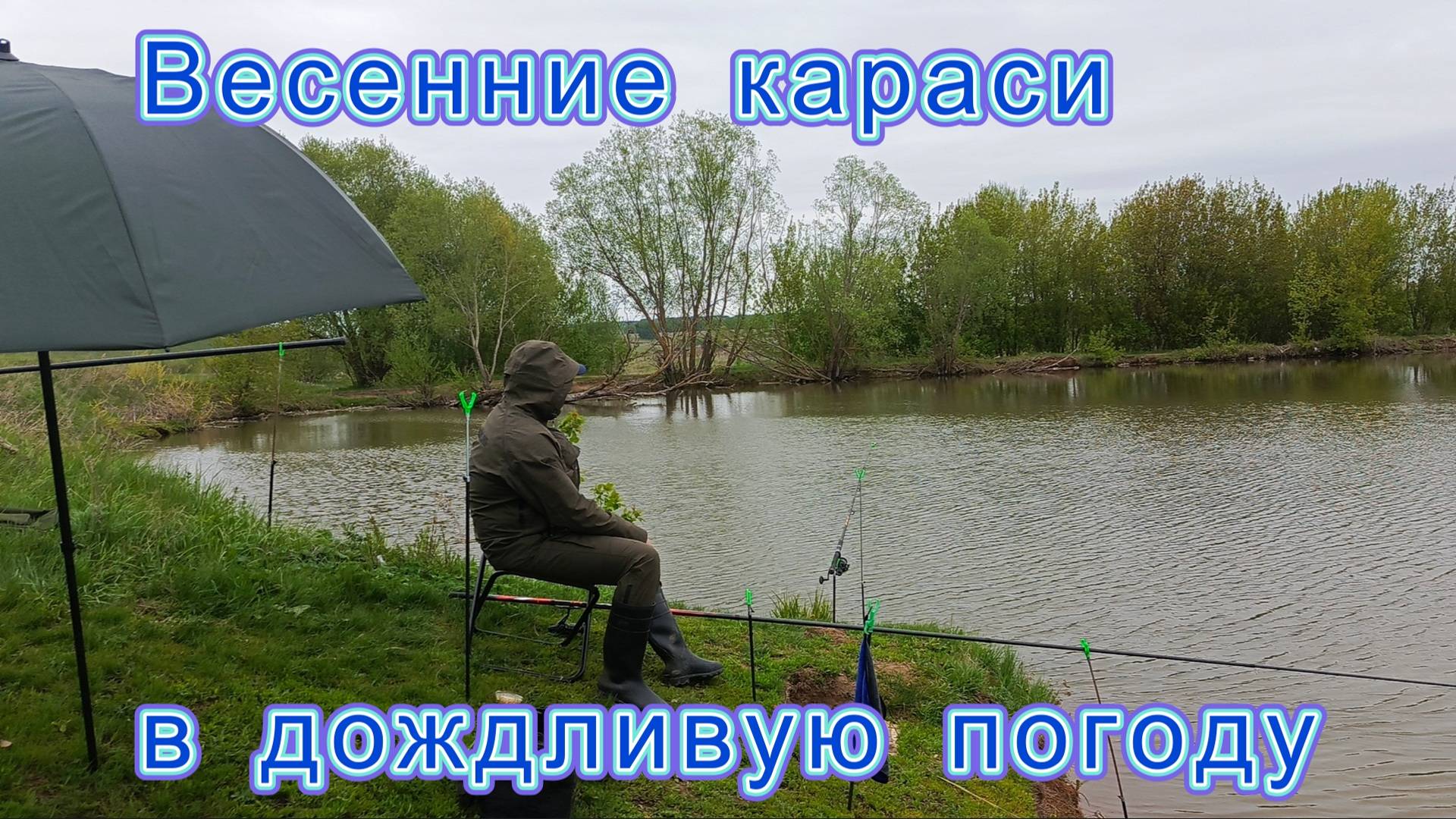 Весенние караси в дождливую погоду