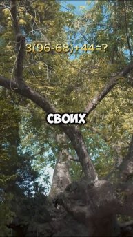 #баобабы #выживание #пустыня #водохранилище #растения #