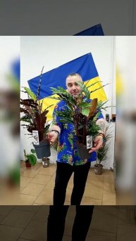 Калатея Руфибарба! Цена 300 гривен! Бронь в лс, или вайбе