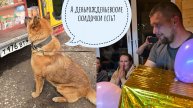 День начался с рыбалки Пса Кубика, закончился ёжиком, а между был стрим и Новый Год Артёма