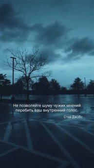 Вдохновляющие истории успеха 📖✨