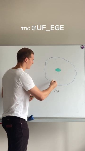 Хитрая задачи по математике про кувшинки🪷 #егэ #матем