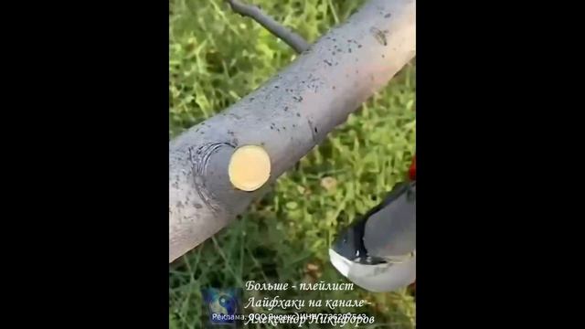 Обзор. Аккумуляторный садовый секатор