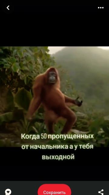 дать понять что есть личное время
