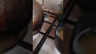 1000048570.mp4