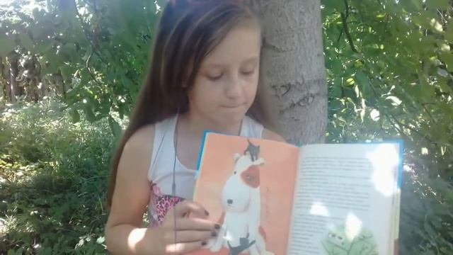 Обзор книги___Дневник Фокса Микки