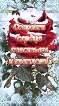 С добрым утром! С новым днём!