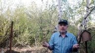 Как я определяю время для посадки картофеля.