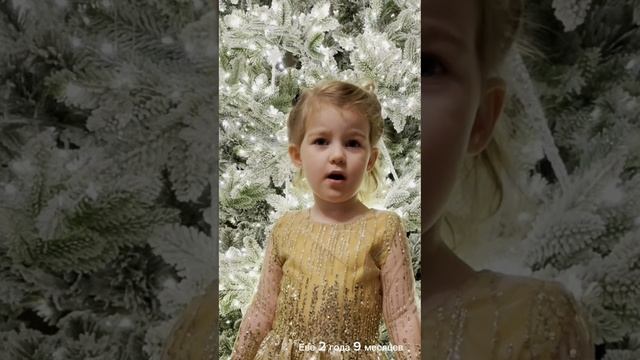 Еве 2 года 9 месяцев 
Рассказывает стих Багаж
