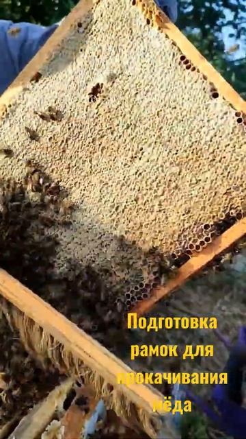 Подготовка рамки для прокачивания мёда