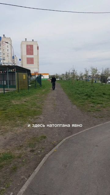 Какой путь выбираете Вы