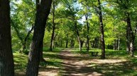 ЛЕСОПАРК "ЛЕСНОЙ" (ТИНЬ-ЗИНЬ)