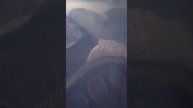 Наша обстановка днём 5 мая 2025 г.