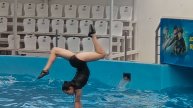 Девушка-гимнастка выступает с молодым белым китом и такое вытворяет на воде.