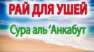Сура 29. Аль-Анкабут (Паук). Мишари Рашид