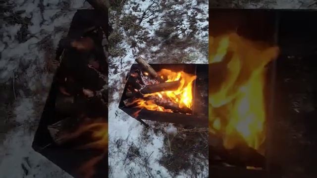 Шашлык #огонь #мангал #шашлык #шашлыкизкурицы #дрова #г?