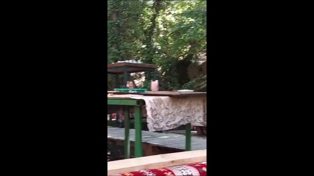 В ожидании обеда (3)