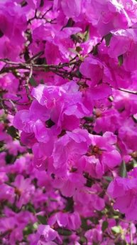 Как же здорово! ❤🌷❤#весна #праздник #душевно #peterburg #с?
