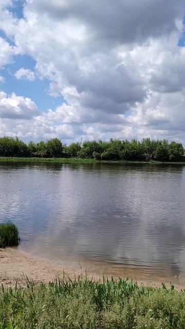Задонск