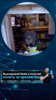 Hype Factory ссылка в шапке профиля #vrek #blum #hymor #memes #top #vrecomendacii #music #мемы #top