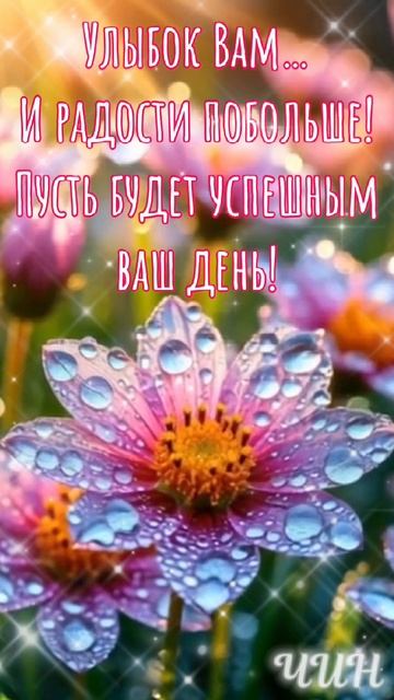 С добрым утром! Отличного дня и хорошей погоды!