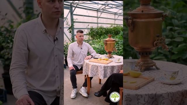 Манипуляция, общение, конфликт | Ольга Белова в Павловском питомнике