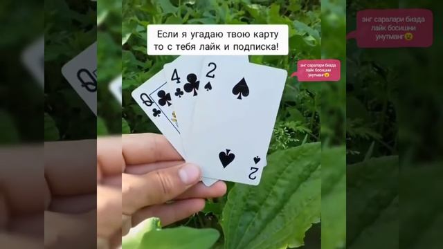 Приколлар додаси😅😅