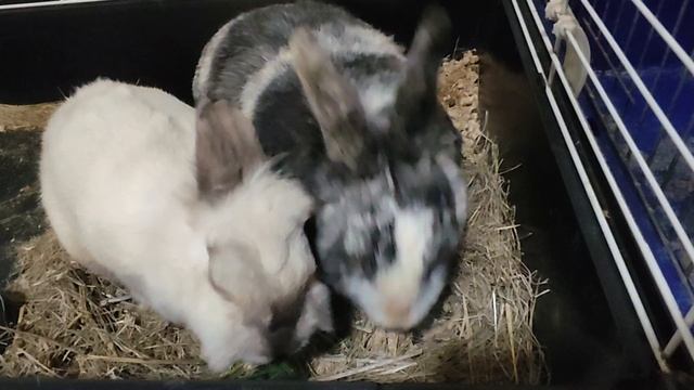 1000018273.mp4