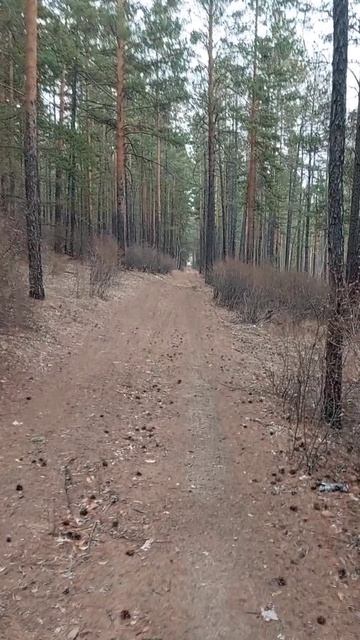на прогулку