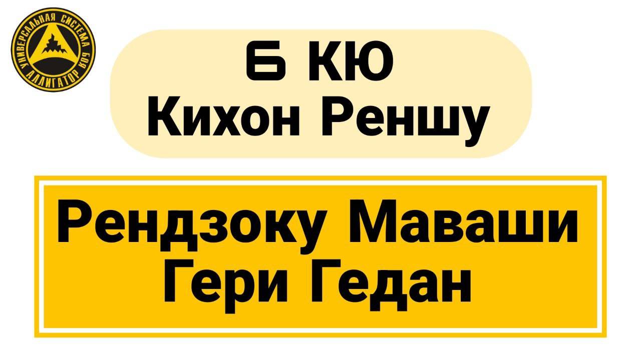 6 Кю Кихон Реншу: Рендзоку Маваши Гери Гедан