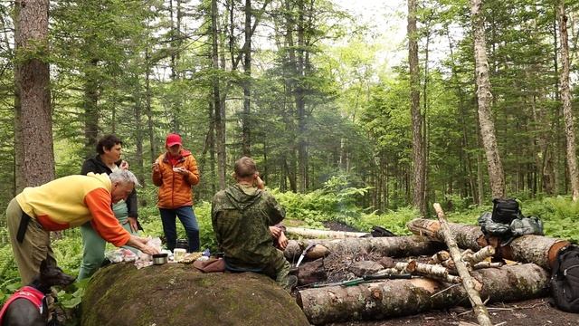 7 июня 24 г. Уссурийская тайга Водопад Неожиданный Приморье Прогулка Давыдов В.С. Привал ...