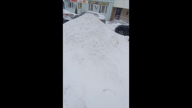 шпиц боится снеговика
