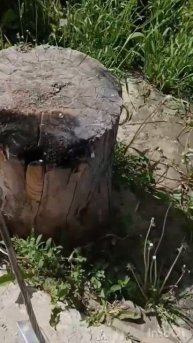 #ковкавидео #ковкасвоимирукамивидео #кованный #камин #