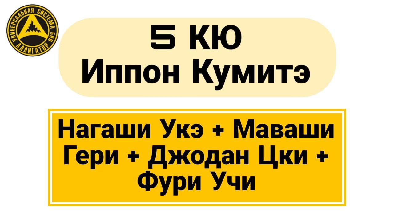 5 Кю Иппон Кумитэ: Нагаши Укэ + Маваши Гери + Джодан Цки + Фури Учи