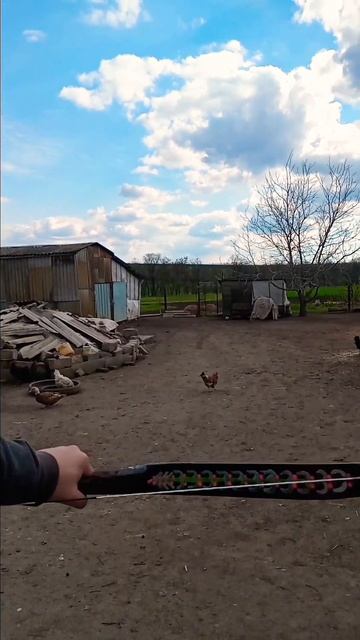 💘В КАЖДОМ ИЗ НАС ЕСТЬ ГЕН - отвечающий за стрельбу из ?