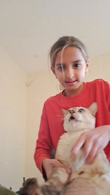 Зёма танцует тренд #anime #genshinimpact #music #dance #hipop #cat