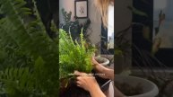 Ещё больше полезного в нашем сообществе,ссылка в опис?