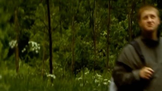 НЕСТАНДАРТНЫЙ ВАРИАНТ - ЗЕЛЁНЫЙ ЛУГ