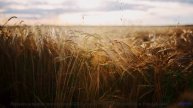 Эта композиция создана всплеском гравитационных волн - услышьте космос! - Unfair To Me -- Derek Cleg