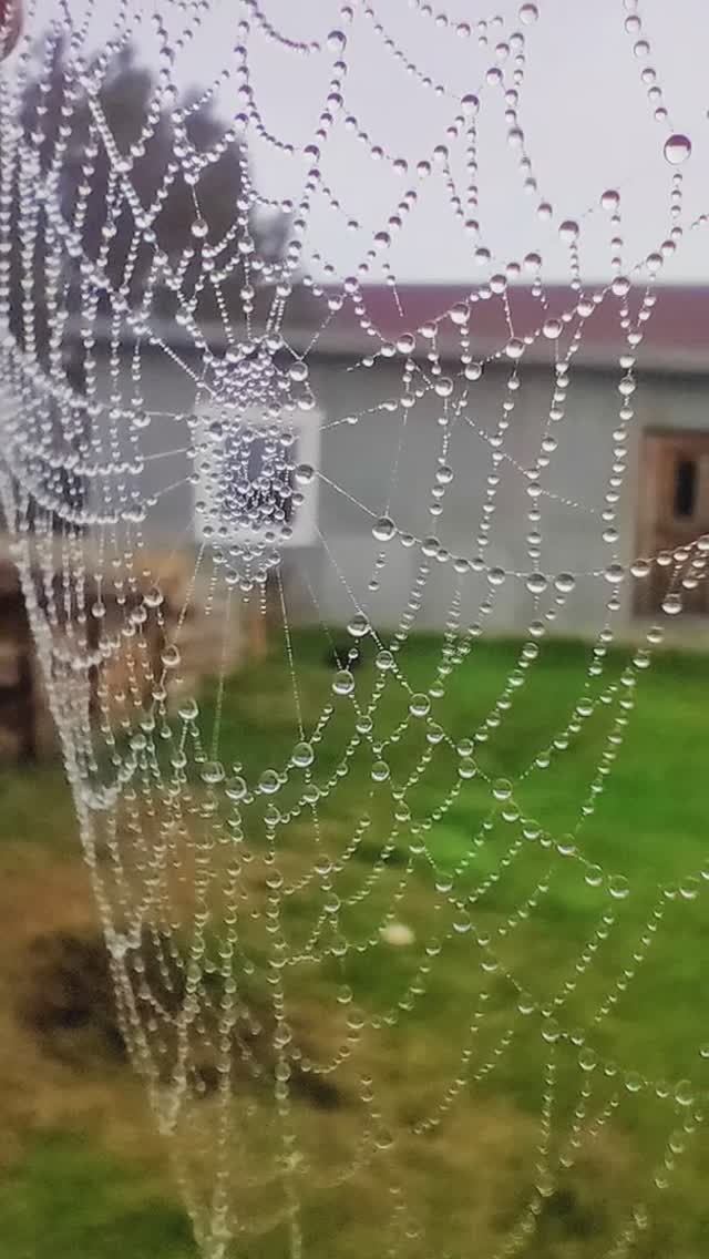 Осенние зарисовки.