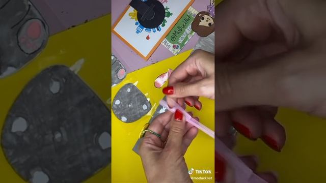 котик